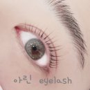 아린 아이래쉬