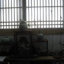 나무향기 차향기 이미지