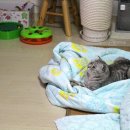 (주)레브가 이미지