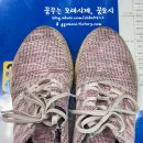 마마운동화이불빨래방 이미지