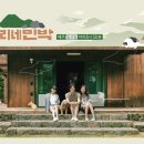 효리네 민박 이미지