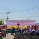 순창채계산유채꽃축제/ 출렁다리 건너고 카누체험(무료, 예약방법)