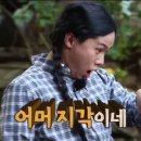 반디의꿈 이미지