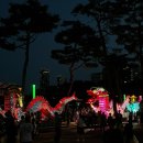 연기면_호수공원매화공연장 | 만족도 500% 💥2026 세종 낙화축제💥 후기