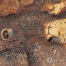합천 옥전 28호분 출토 금귀걸이 이미지