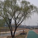 당현천 화장실 이미지