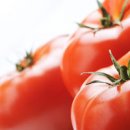 토마토 효능 핵심 12가지 몸에 좋은 음식 찾는다면 이미지