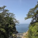 작약 태양광발전소 이미지