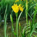 지티행정사사무소 이미지