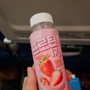 919 | [괌] 여행 가기 좋은 시간의 괌 가성비 항공편 진에어 LJ919, LJ920 탑승 후기