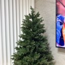 주식회사 실버온 | 크리스마스 꾸미기 추천 루시아이 트리 X 다이소 오너먼트