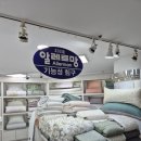 다농 | 🤍 알레르망 안산다농점 혼수침구 내돈내산 후기 🛏️✨
