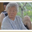 호수농원가든 이미지