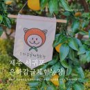 은하농장 | 아기랑 제주도 겨울여행 귤따기 추천 은하감귤체험농장 방문 후기
