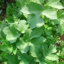 청도의하루 이미지