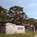부여 아이와 가볼만한곳 국립부여박물관 후기 (초등학생 역사여행 추천)