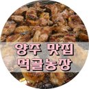 먹골농장 이미지