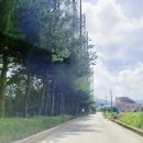 리버휠 스크린골프 이미지