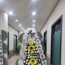 초당요양병원(초당노인병원) 이미지