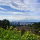 강창학공원 이미지