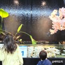 아쿠아랩 잠실 롯데월드점 | 서울 근교 갈만한 곳 아이랑 가기 좋은 수풀림 아쿠아카페 구리갈매점