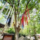 고갯마루 이미지