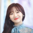 수정애견 이미지