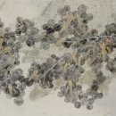 박소영 개인전 이미지