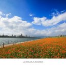 강변체육공원 이미지