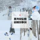 (주)잔디투어 | 삿포로 비에이투어 :: 홋카이도랩 내돈내산 여행 후기