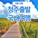 석소휴게소 | 국내여행 청주출발 당일치기 8월 9월 편하고 재밌게 다녀오기