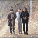 김동복농장 Daum카페