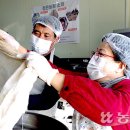 최씨농장 이미지