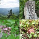 통나무민박6 이미지