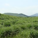산과바다 Daum카페