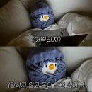 방탈출에 미친자가 되었습니다 &gt; 1월 2주차
