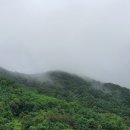 하덕 이미지
