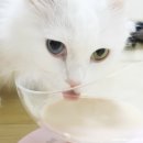 주식회사 건강한친구 네이버블로그