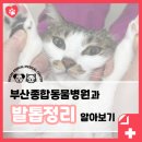 부산종합동물병원 이미지