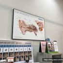 위즈덤보청기 청각센터 수원본점 네이버블로그