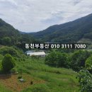 마산양돈장 네이버블로그