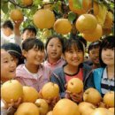 유성농장 5농장 이미지