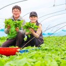 김종후농장 동행미디어 시대