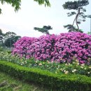 배산체육공원 풋살장 이미지