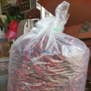 수삼랜드 이미지