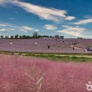 울릉관광옥천호텔 이미지