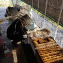 광주북구시니어클럽 자연으로 이미지