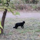 당산못공원 이미지