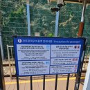 해변열차 타고 부산 송정해수욕장, 교동 우리쌀 십원빵
