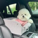 개과천선 이미지